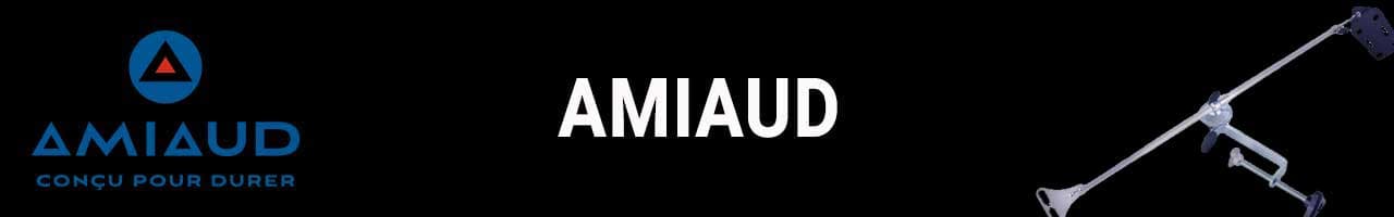 Amiaud