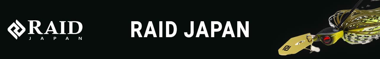 Raid Japan