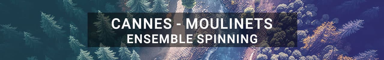 Ensemble Spinning