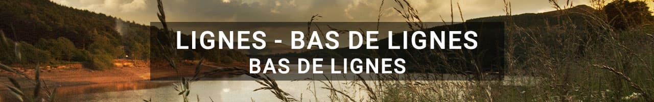 Bas de ligne
