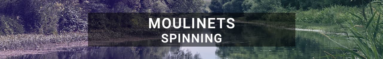 Moulinets Spinning