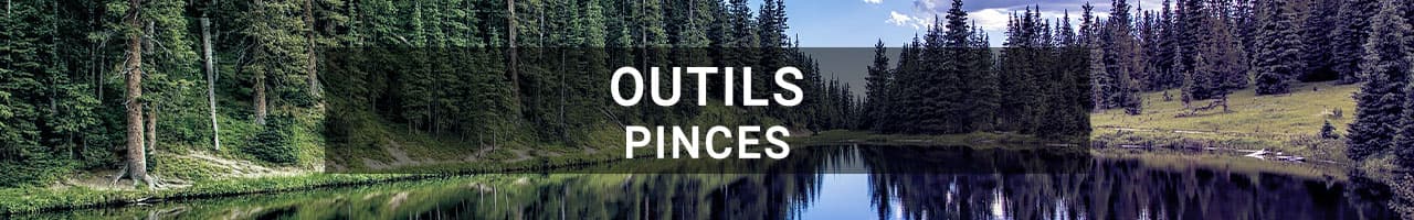 Pinces