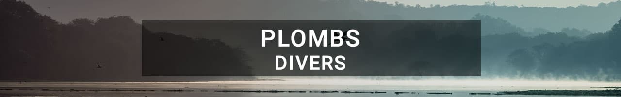 Divers plombs