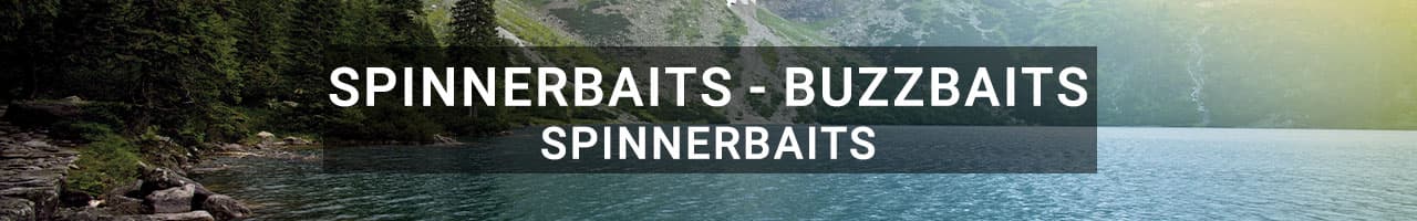 Spinnerbaits