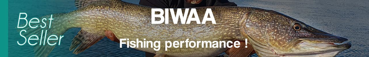 BestSeller des leurres de pêche BIWAA
