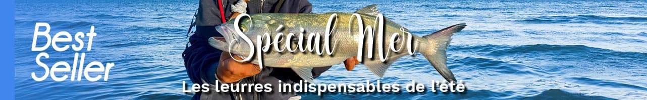 Les meilleurs leurres pour la pêche en mer